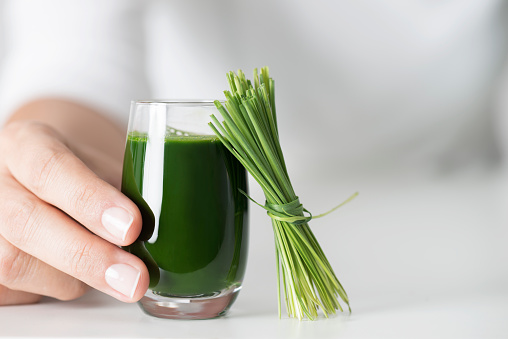 microgreen wheatgrass juice