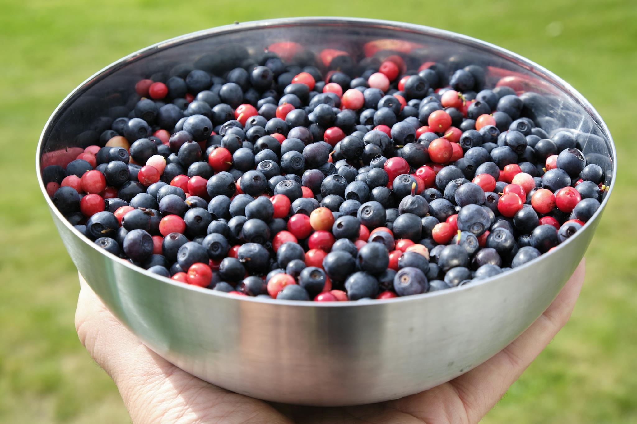 Close-up of various fresh berries in a stainless steel bowl held outdoors.